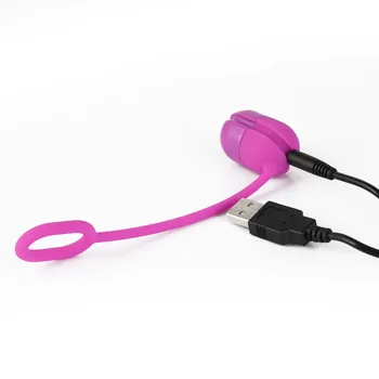 2 in 1 USB Įkrovimo Kulka Vibratorius Kiaušinių Moterų Klitorio Stimuliacija Varpos Lockring Vyrų Atidėti Ejakuliacija Sekso Produktai 11676