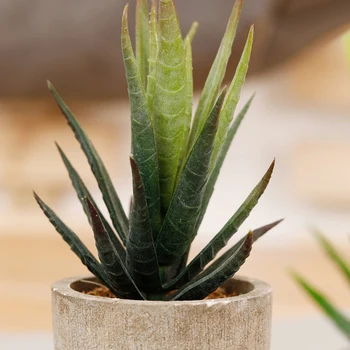 2020 Gražių Dirbtinių Augalų Puodą Su Modeliavimas Succulents Mini Bonsai Vazoninių Pateikti Žalia Padirbtų Augalų Stalo Apdailos