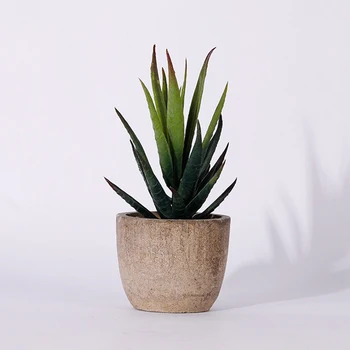 2020 Gražių Dirbtinių Augalų Puodą Su Modeliavimas Succulents Mini Bonsai Vazoninių Pateikti Žalia Padirbtų Augalų Stalo Apdailos