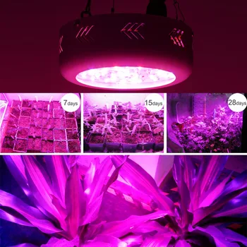 360W 36 LED Grow Light Visą Spektrą Dvigubai Žetonų Hydroponic Žydinčių Augalų Lempos Kabo Tipas Augti Lempos efektą Sukeliančių