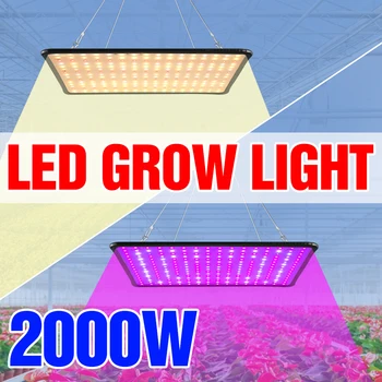 Augalų Auga LED Šviesos 2000W Pilno Spektro Lempa 220V LED Augimo Šviesos 110V vidaus LED Fito Lempos Gėlių Sėklų Hydroponics Apšvietimas