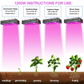 COB LED Grow Light Visą Spektrą 2400W Dual Chip Laikas Augti Lempos, skirtos Šiltnamio efektą sukeliančių Patalpų Augalų Daržovių Bloom Jungikliai