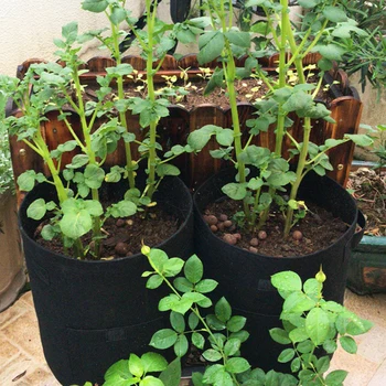 Nešiojamų Augti Krepšiai Sodo Augalų Augimo Daigų Puodai Audinio Eco-Friendly Aeracija Efektą Sukeliančių Augalinės Žemės Ūkio Įrankiai
