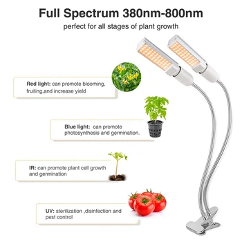 Phytolamp 50W Led Augti Šviesos Pilno Spektro Lempa Vazoninių Augalų, Daržovių, Gėlių 88LEDs Pritemdomi Augalų Lempos