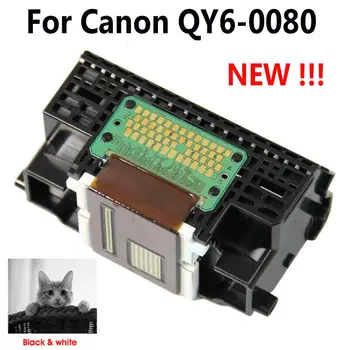 QY6-0080 spausdinimo galvutė CANON iP4850 MG5250 MX892 Ix6550 IP4880 ip4830 MG5280 IX658 garantuoti tik spausdinimo kokybę, juoda.