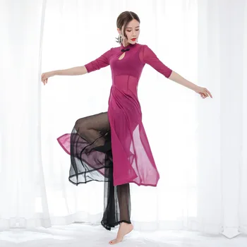 Rytietiškų Šokių Suknelė 2019 Šiuolaikinės Liaudies Šokių Praktikos Suknelė Cheongsam Pilvo Šokio Prarasti Kelnių Kostiumas Permatomas Sidabro Vielos Tinklo,
