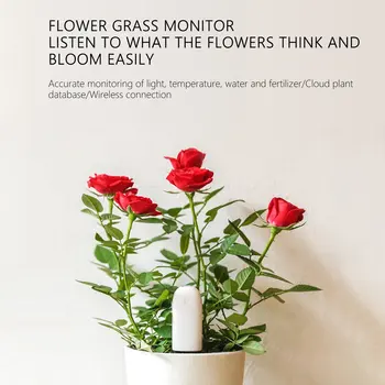 Tarptautinė Versija Xiaomi Mi Floros Stebėti Skaitmeninės Žolės, Gėlių Priežiūra, Dirvožemio Vandens, Šviesos, Smart Testeris Jutiklis Sodo Augalai