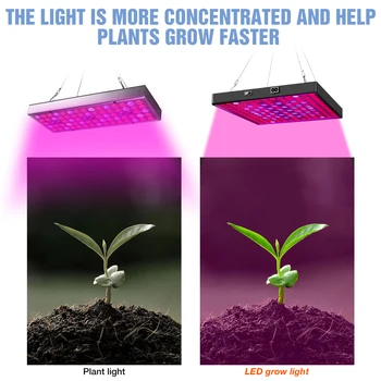 Viso Spektro LED Augalų Auga Lempa 30W 50W Šiltnamio efektą sukeliančių Gėlių Fito Lemputė 220V Hydroponics Augimo Palapinę Lauke LED Daigų Fito Lempos